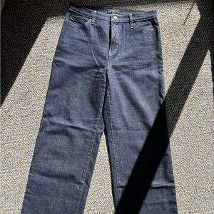 Banana Republic Dark Blue Straight Leg Jeans